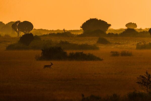 株式会社SHINME、CAMPFIREと連携　生きもの・自然・文化領域に特化したクラウドファンディング支援体制を強化