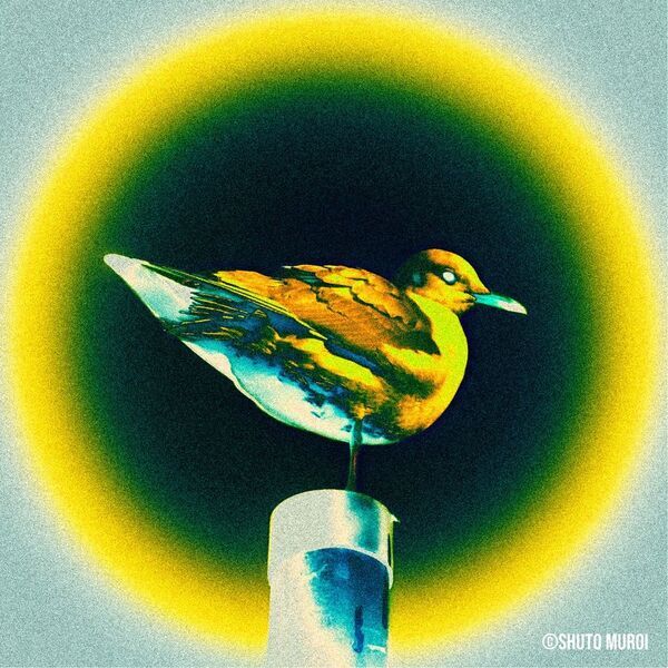 新進気鋭写真家shuto muroi /ムロイシュウトが主幹を務める「Creator Factory for Pictures」事業を開始