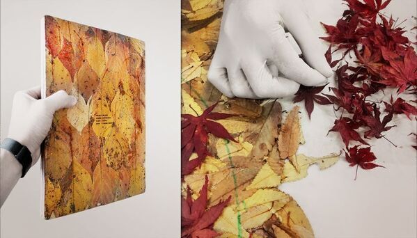 物質調律家・山崎タクマ氏、日本で個展開催