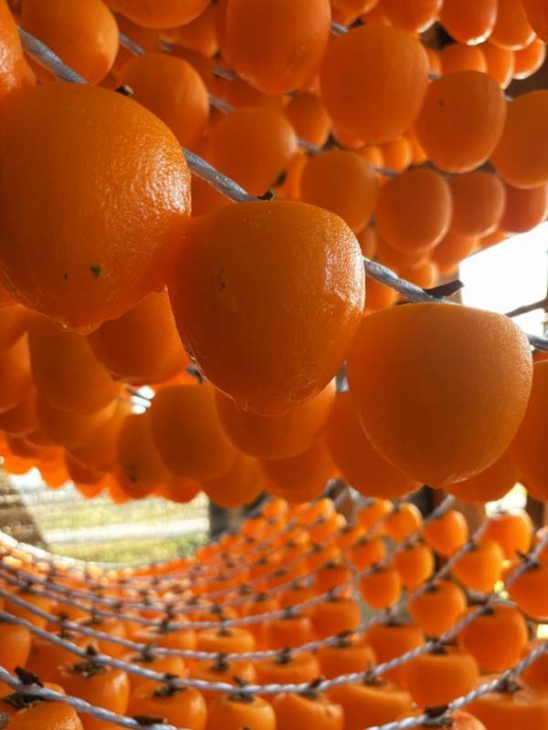 福島県・伊達市が誇る“あんぽ柿”103年の歴史が紡ぐ至福のスイーツ登場　1月22日(木)～続いて、新作続々登場2月末(なくなり次第終了)