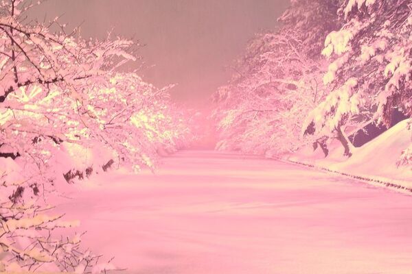 青森県弘前市「弘前城雪燈籠まつり」2月6日から開催　第50回を記念した、家族で楽しめる特別企画も実施