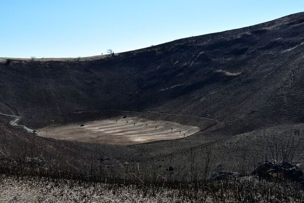 一年に一度しか見られない！伊東の春の風物詩「大室山　山焼き」が2月8日(日)開催！