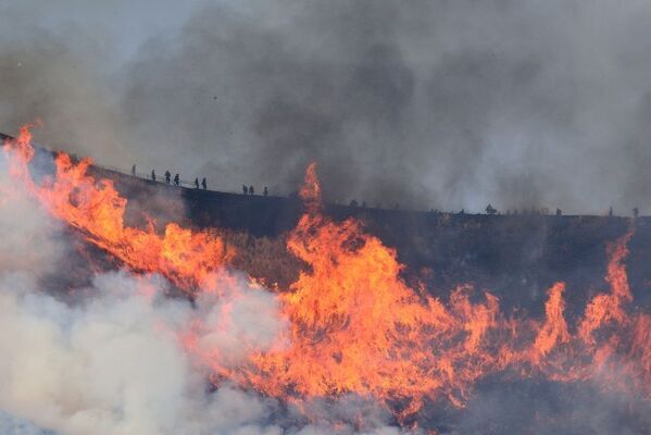 一年に一度しか見られない！伊東の春の風物詩「大室山　山焼き」が2月8日(日)開催！