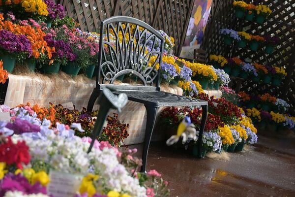 早春の草花展を中心とした、植物園の一足早い春を楽しむ『The First Bloom ―春を先どる1万の花―』を開催　2月6日(金)～3月8日(日)