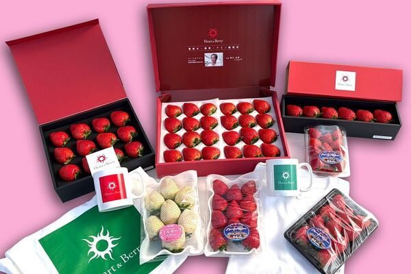 超高級ホテル、星付きレストラン御用達の「いちご」が当たる抽選会イベントが開催決定。もえのあずき、雪見もか、二人のミスいちごも来園しイベントサポート！