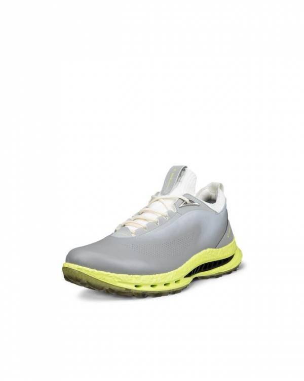 ゴルフ新作「ECCO GOLF BIOM C5(エコー ゴルフ バイオム シー5)」が登場