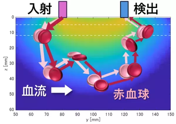 理工学部 小野 弓絵 教授の大学発ベンチャーと明治大学が新株予約権を対価とする知的財産権の譲渡契約を締結