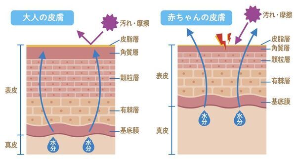 赤ちゃんの素肌のためのレック新技術“プロテクトヴェール処方”採用　ベビー＆キッズブランド「Lec.Be(レックビー)」より『素肌すこやか宣言 おしりふき・手口ふき』新発売！