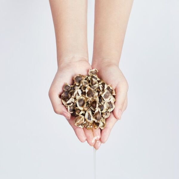 俳優 高橋 惠子さんプロデュース　自然のチカラで毎日をサポート！スーパーフード「モリンガ」シリーズ“おうちdeボンマルシェ”で2月1日(日)販売開始！