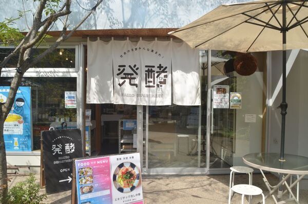 ＜花粉症意識調査2026＞症状長期化で進む「食への回帰」　長期化層の約2人に1人が「去年よりも食事への意識が高まっている」と回答　名医が語る、対策の新常識「カギは“菌のチーム戦”」