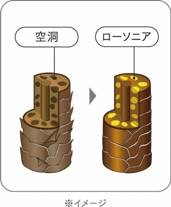 狙った白髪にピンポイントで塗る「テンスターHena ポンポン付きヘアマスカラ」が新登場！