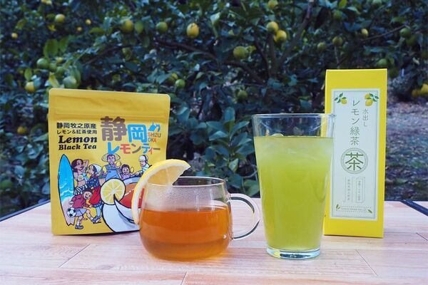 『道の駅そらっと牧之原』に牧之原市の新たな特産品“波乗りレモン”の波が遂に到来！「波乗りレモンフェア」を2/7～23で開催！期間限定の爽やかな味わいをご提供