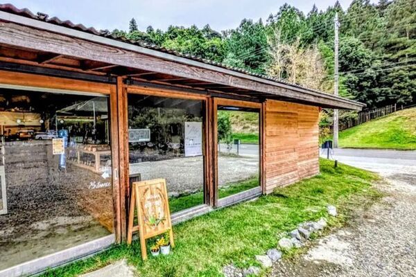 ベストシーズン到来！菜の花満開の千葉・小湊鐵道沿線を遊び尽くそう