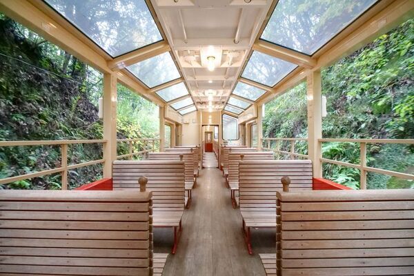 ベストシーズン到来！菜の花満開の千葉・小湊鐵道沿線を遊び尽くそう