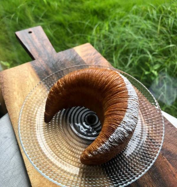 ベストシーズン到来！菜の花満開の千葉・小湊鐵道沿線を遊び尽くそう