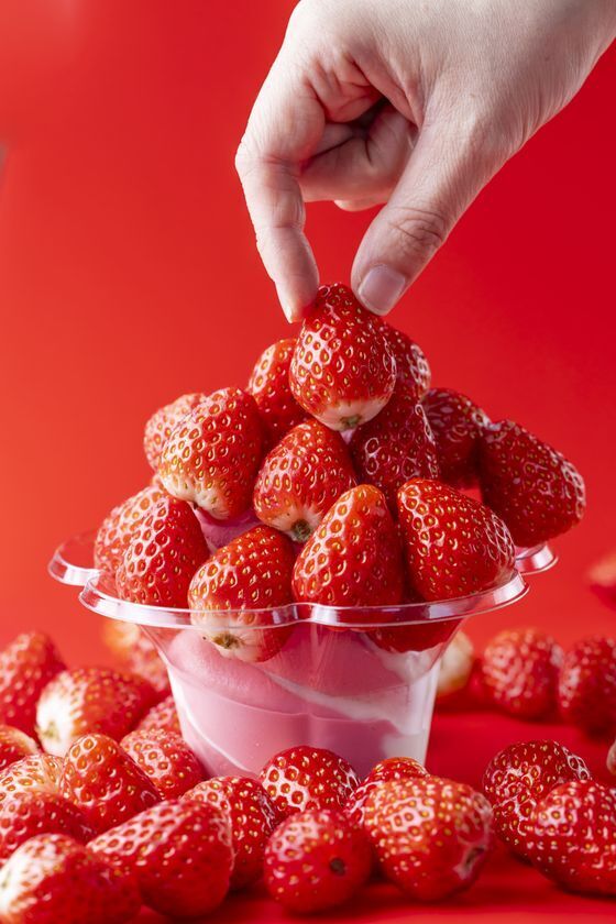 【2/20(金)から】ビル一棟まるごといちごスイーツ専門店より「静岡いちごの収穫祭」を2/20より初開催！