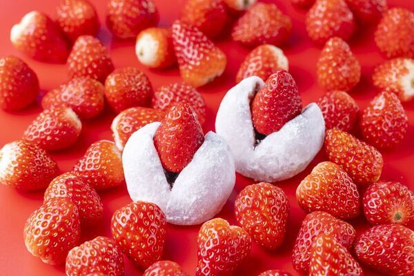 【2/20(金)から】ビル一棟まるごといちごスイーツ専門店より「静岡いちごの収穫祭」を2/20より初開催！