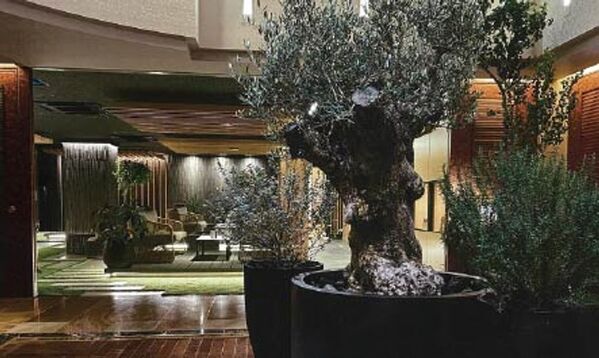 ガーデン家具＆リゾート系家具ブランドKayu styleが「第54回国際ホテル・レストランショー」に出展