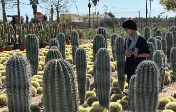 ガーデン家具＆リゾート系家具ブランドKayu styleが「第54回国際ホテル・レストランショー」に出展