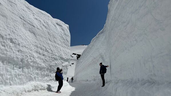 富山県と長野県を結ぶ立山黒部アルペンルート、2026年4月15日(水)から春の風物詩「雪の大谷ウォーク」を開催！