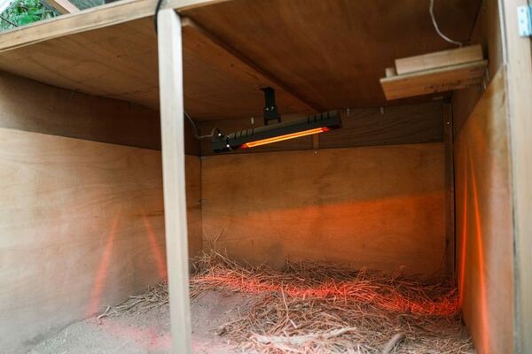 動物園水族館探究メディアwizoo、大牟田市動物園　株式会社ニフコと共創プロジェクト実施～生産端材をアップサイクルした断熱材を「ヤマアラシの小屋」に活用～