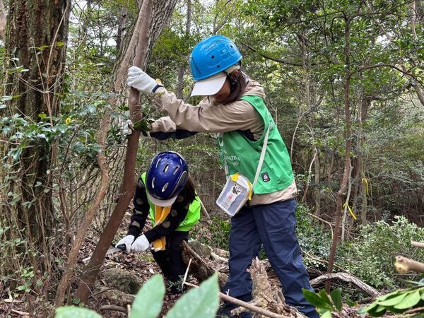 2026年4月 兵庫県にて「六甲山の森づくり」開催決定