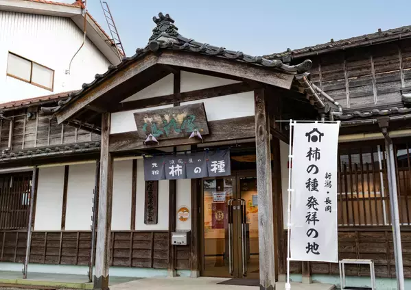 梅の酸味×青じその爽やかさが広がる「浪花屋の柿の種ピーナッツ入り さっぱり梅味」３月2日発売