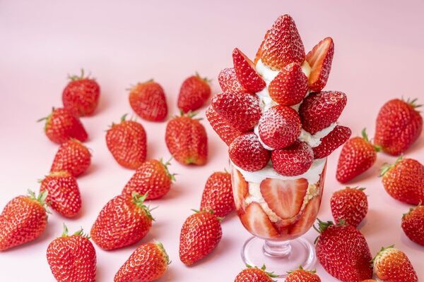 ＜いちご専門店の道の駅 いちごBonBonBERRY＞15組限定！15円でいちご盛り放題を開催！さらに150％いちご増量パフェや大粒いちごの限定メニューも！旬の静岡いちごが盛りだくさんの「いちごの収穫祭2026」を2月20日(金)から5日間開催！