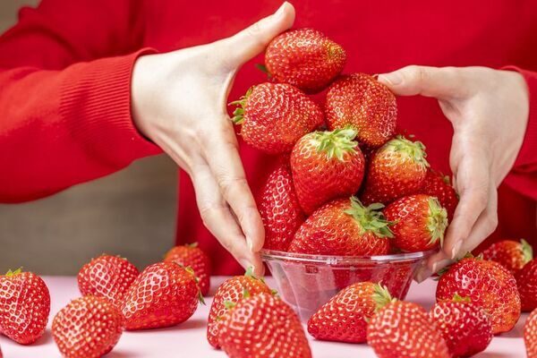 ＜いちご専門店の道の駅 いちごBonBonBERRY＞15組限定！15円でいちご盛り放題を開催！さらに150％いちご増量パフェや大粒いちごの限定メニューも！旬の静岡いちごが盛りだくさんの「いちごの収穫祭2026」を2月20日(金)から5日間開催！