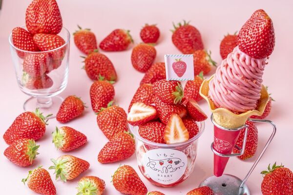 ＜いちご専門店の道の駅 いちごBonBonBERRY＞15組限定！15円でいちご盛り放題を開催！さらに150％いちご増量パフェや大粒いちごの限定メニューも！旬の静岡いちごが盛りだくさんの「いちごの収穫祭2026」を2月20日(金)から5日間開催！