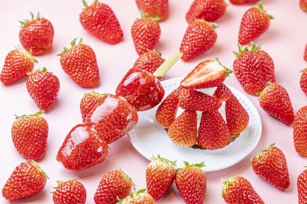 ＜いちご専門店の道の駅 いちごBonBonBERRY＞15組限定！15円でいちご盛り放題を開催！さらに150％いちご増量パフェや大粒いちごの限定メニューも！旬の静岡いちごが盛りだくさんの「いちごの収穫祭2026」を2月20日(金)から5日間開催！