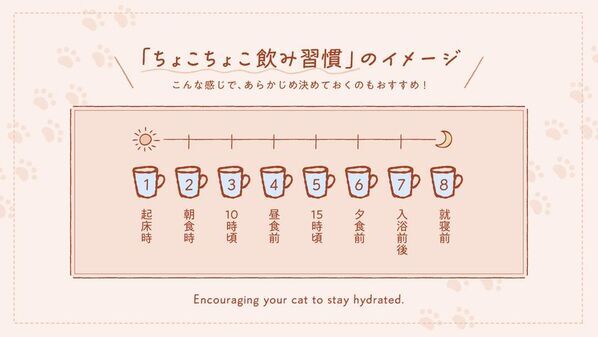 猫の日に考える「猫と人のちょこちょこ飲み習慣」～コスモウォーター×フェリシモ「猫部」コラボキャンペーン実施～
