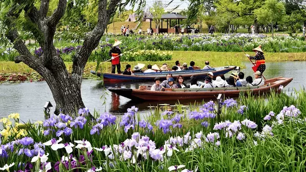 映像と共に巡る「小江戸・佐原」歴史と文化、自然が織りなす 四季折々の見どころをご紹介