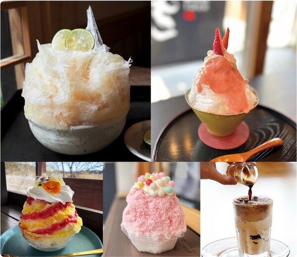 映像と共に巡る「小江戸・佐原」歴史と文化、自然が織りなす 四季折々の見どころをご紹介