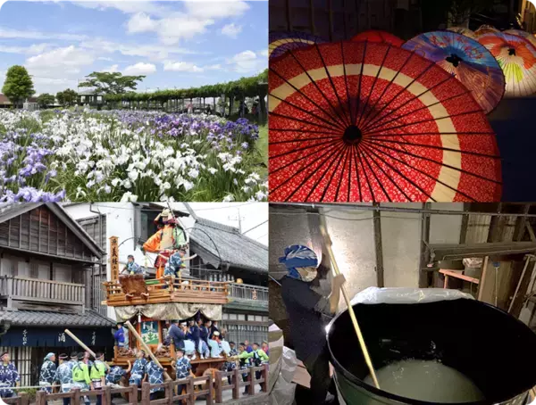 映像と共に巡る「小江戸・佐原」歴史と文化、自然が織りなす 四季折々の見どころをご紹介