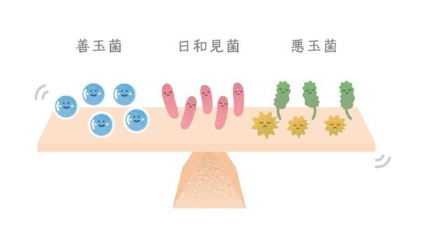 ダチョウ卵黄エキス配合の敏感肌スキンケアシリーズ発売