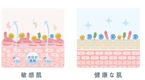 ダチョウ卵黄エキス配合の敏感肌スキンケアシリーズ発売