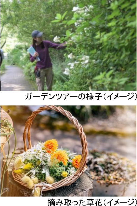 ROKKO森の音ミュージアムSIKIガーデンSpring Season“Waltz”スイセン、オオヒナユリなど春の花々とアート、音楽が調和したフェアを開催