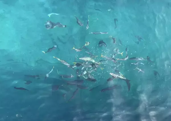 東京の離島神津島で“釣って泊まって星に浸る3日間”