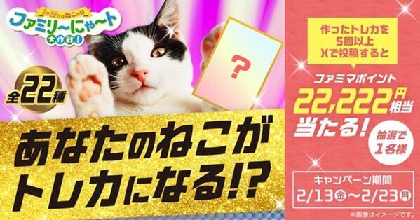 2月22日“ねこの日”を盛り上げる「ファミリ～にゃ～ト大作戦！」開催中！「かわいい」から「救う」へ、キャンペーン商品の売上の一部が地域猫活動の支援に！「ねこの日」消費動向の調査結果を公開！