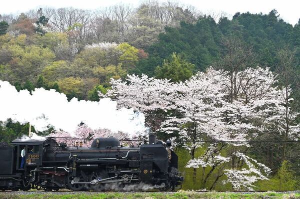 秩父鉄道のSLパレオエクスプレス、2/20(金)から予約開始　3/20(金・祝)「SLファーストラン号」運行　SL弁当、オリジナル列車カード、BARカウンターで車内も充実