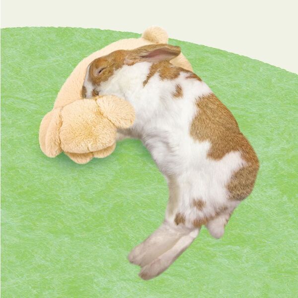 ドギーマンハヤシの小動物ブランド「ミニアニマン」から　うさちゃん専用枕『うさぴた枕』が2月20日に発売！