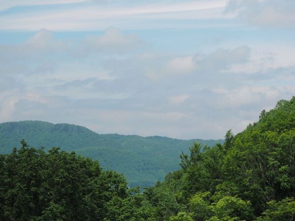 和精油の未来を拓く「日本の香りを世界へ」プロジェクト始動　香り日本研究会、国際会議「AAC-AAIC 2026 KOREA」へ出展