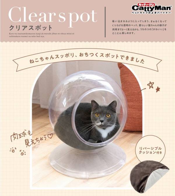 猫ちゃんの「かわいい」をとことん楽しめる　キャティーマンの全面透明の球体型猫ベッド『Clear spot』新発売