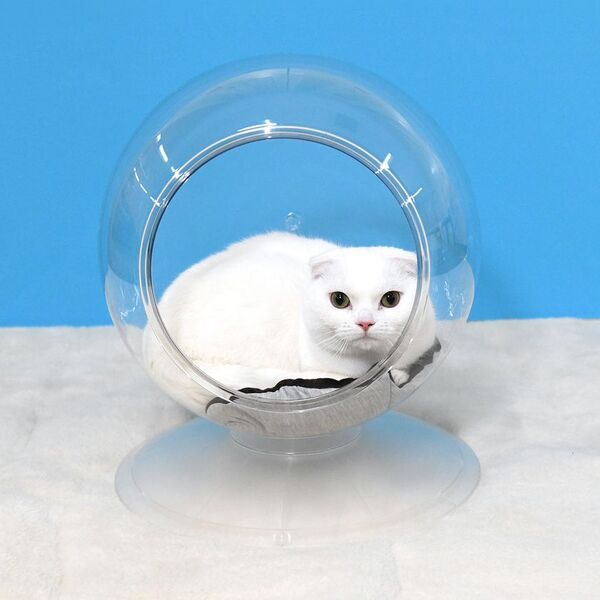 猫ちゃんの「かわいい」をとことん楽しめる　キャティーマンの全面透明の球体型猫ベッド『Clear spot』新発売