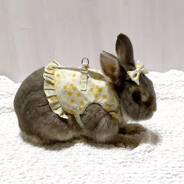 ドギーマンハヤシの小動物ブランド「ミニアニマン」から『うさちゃんのおめかしハーネス』が2月20日に発売！