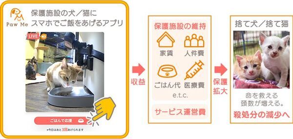 保護犬／猫にスマホでごはんをあげる「Paw Me」限定公開テスト開始