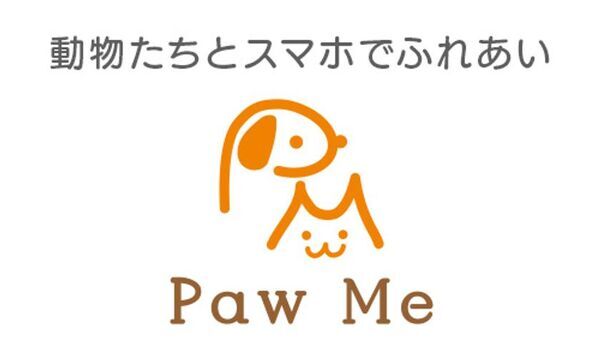 保護犬／猫にスマホでごはんをあげる「Paw Me」限定公開テスト開始