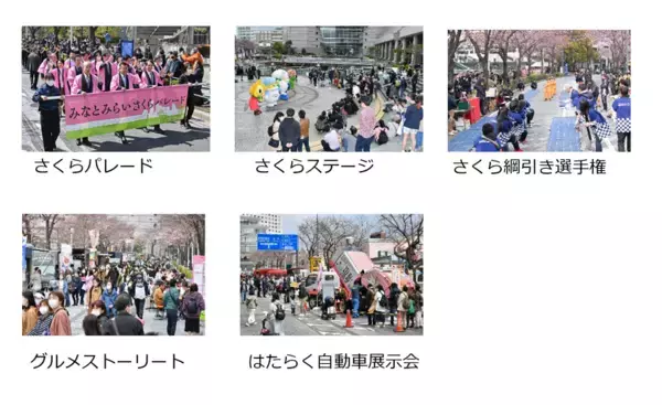 ～綱引き・パレード・グルメストリートなど、コンテンツ盛りだくさん～みなとみらい21 さくらフェスタ2026