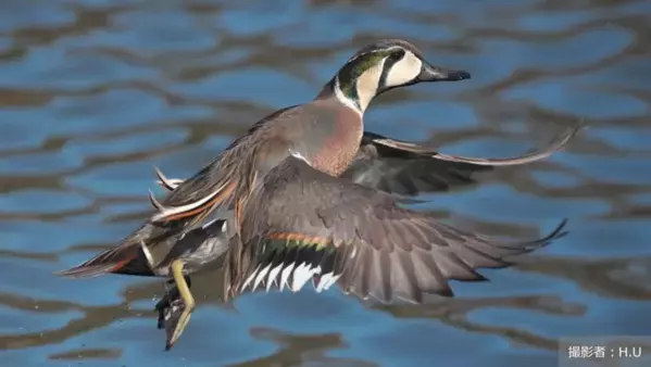 社会課題をともに「知る・学ぶから、はじまる未来。」―「地球の学校」に、空き家問題と未来のまちづくりを考える記事を公開―